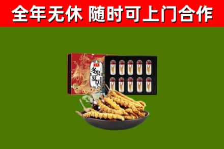 建德回收冬虫夏草价格